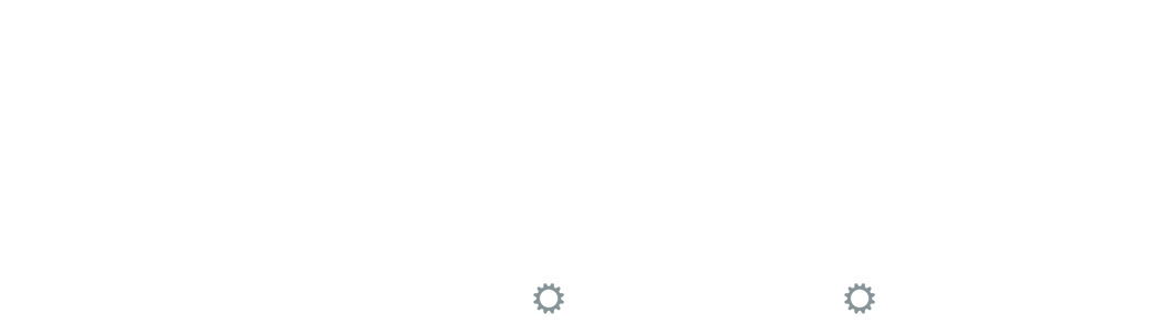 SEDGMAN FSI Logo